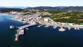 강진군, 제6회 마량놀토수산시장 개장