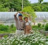 화순 허브뜨락, 농촌체험관광 프로그램 공모 선정