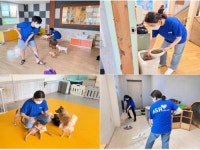 bhc치킨 해바라기 봉사단, 유기 동물 돌봄 활동 개최