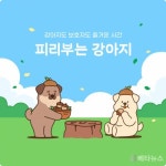 댕댕아, 같이 걷고 싶어..‘피리부는 강아지’ 가을 산책 이벤트