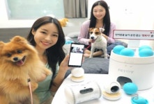LG유플러스, 반려동물 가구 위한 스마트홈 ‘펫토이’ 출시