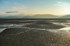 고흥군 여자만 갯벌, 습지보호지역으로 신규 지정
