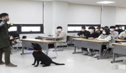 신라대, 반려동물 아카데미 개설 추진