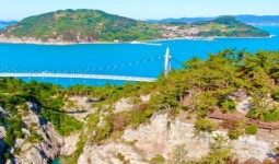 아름다운 ‘전남 숲길’ 걸어보세요…전남도, 화순 오감 연결길 등 숲길 5곳 추천