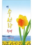 “수선화 향기 따라 힐링여행 오세요”…신안군, 섬 수선화 축제 개최