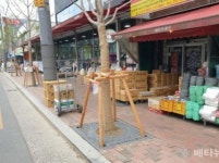 대구 중구청 큰장로 가로수 보호덮개 설치공사 추진 완료