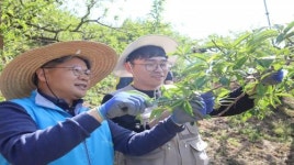 복숭아 농장서 땀 흘리며 배운 ‘상생협력 가치…’ 전남-경북개발공사, 교차기부