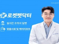 쿠팡, 반려동물 관련 수의사 답변 서비스 ‘로켓펫닥터’ 론칭
