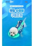 어바웃펫 펫캉스 위한 반려동물용 시즌상품 인기