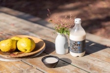 해남군, 해창12도 찹쌀생막걸리 남도우리술품평회 최우수상