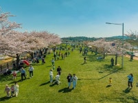 [포토]2023순천만정원박람회 핵심콘텐츠, 그린아일랜드와 오천그린광장