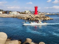 [기장군 브리핑] 다각적인 연안생태계 복원 및 효과 유지관리 사업 추진