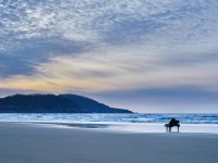 전남도, 이한영 차문화원·순천만습지·신안 자은도 등 10월 추천관광지로 선정