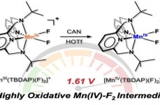 유니스트(UNIST), 새로운 금속-플루오린 촉매 개발 성공