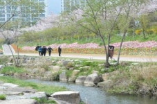 [기장군 브리핑] ‘좌광천 지방정원’ 등록 추진 등