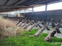 사천시, 태양광발전시설 설치된 농축산물생산시설 집중 단속