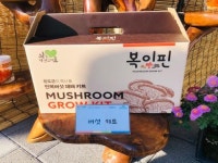 순화네건어물 | 완도군, 버섯 가공품 특허 2건 기술 이전…“농가 소득 향상 기여”