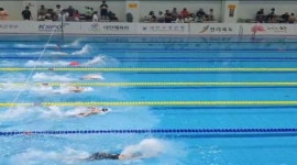 전주시, 국제·전국대회 유치…지역경제 활력 기대
