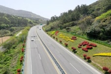 완도군, 국도 13호선 일원 국내 최장 21km 홍가시나무길 눈길