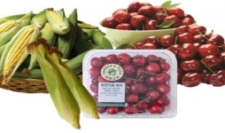 이마트, 24일부터 제철 먹거리 행사 개최 작년보다 40% 저렴