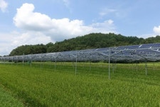 전남도, 영농형 태양광 연구개발사업 3개 선정…3년간 국비 60억 지원