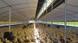 나주시, 연일 폭염 속 ‘가축 피해 예방’ 총력