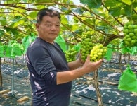 쿠팡, 농가 상생·과일물가 안정 두마리 토끼 잡는다...햇과일 450톤 매입·판매