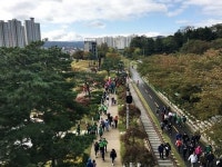 송도 솔밭 도시숲-포항 철길숲, 아름다운 도시숲 50선 선정