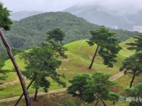 [르포] 찬란한 문화 꽃 피웠던 고령 대가야 문명의 발자취를 찾아...