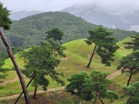 [르포] 찬란한 문화 꽃 피웠던 고령 대가야 문명의 발자취를 찾아...