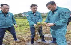[포토]전북특별자치도 김관영 지사, 벼멸구 피해지역 현장방문
