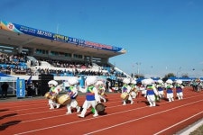 청도군, 제28회 청도군민의 날 및 제73회 군민화합 한마당 체육대회 개최