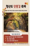 청산도, 단풍길 축제 29일부터 개최…늦가을 정취 만끽