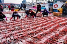 경북문화관광공사, 경북여행 12월 추천지 ‘울진 온천과 대게’