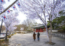 용산구, 3.1절 맞아 효창공원 일대에 ‘태극기 거리’ 조성