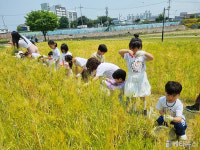 경산시, 남천둔치 정원 체험 행사 성료