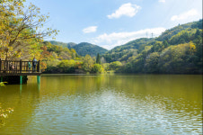 전남도, 부모님 인생샷 명소 6월 추천…관방제림·윤제림·세량제 등 선정