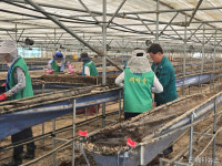 [기장군 브리핑] ‘제27회 기장갯마을축제’ 개최 등