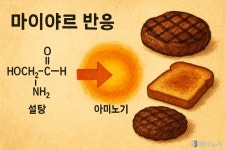 마이야르 반응: 음식의 맛과 색을 만드는 화학의 마법