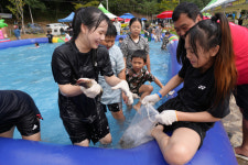 [포토] 2025 보성벌교갯벌축제 개막