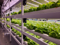 순천시, 도심 속 스마트팜 ‘시티팜’…농업·체험·교육 융복합 모델로 육성