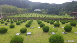 부산시설공단, 부산추모공원 가족봉안묘 105기 재사용 허가 신청