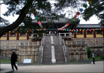 천년의 숨결, 살아있는 박물관