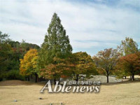 장애인, 풍경에 동화되기