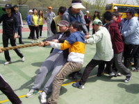 장애인 - 공주정명학교 ‘2011 학생체육대회’