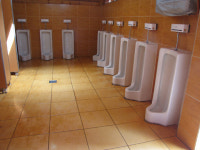 장애인 - ‘남이섬’이 누구나 이용하기 편리하다고?