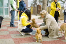 경북영광학교를 방문 ‘동물매개치료’ 특강 실시