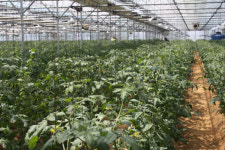 농사 지어 월급 받고, 덤으로 원예 치료까지