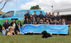 예산 걱정 없는 호주 도우미견 전문 훈련기관