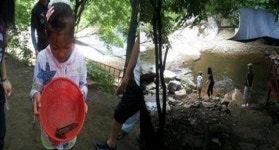 산 좋고 물 맑은 아름다운 범곡천